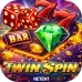Twin Spin