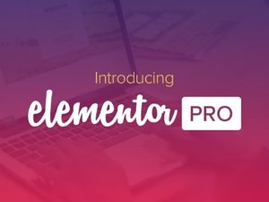 Elementor PRO