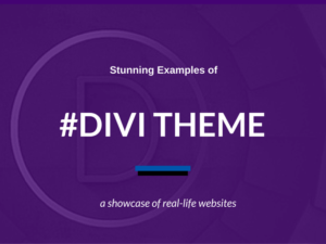 Divi Theme + Builder + Layout